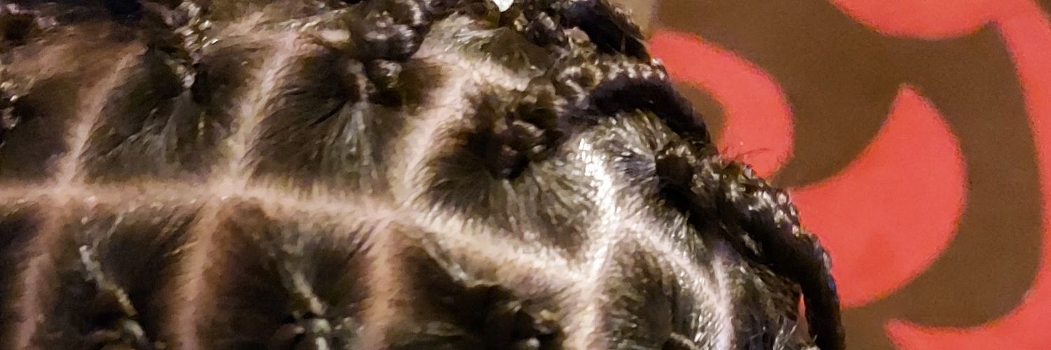 alade2021's profile banner image