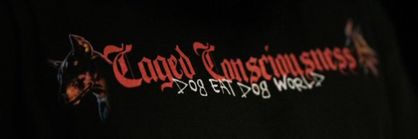 AbsoluteDomo Profile Banner