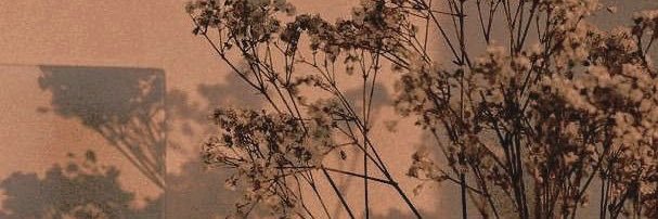 dnissitag's profile banner image