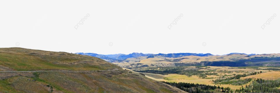 Patricia Justiniano banner