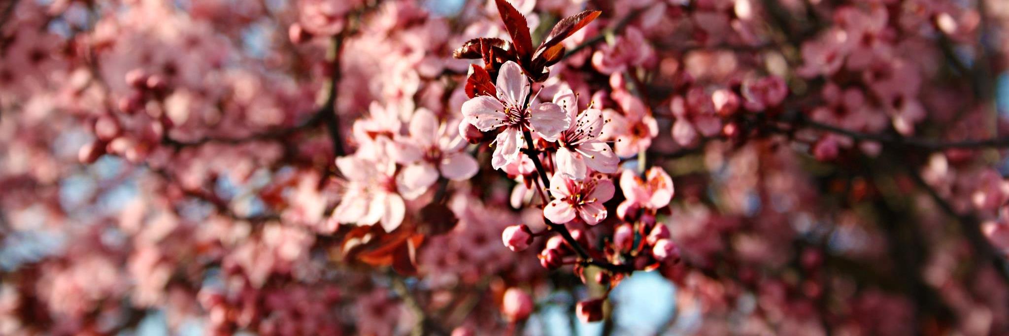 _CHarbor93's profile banner image