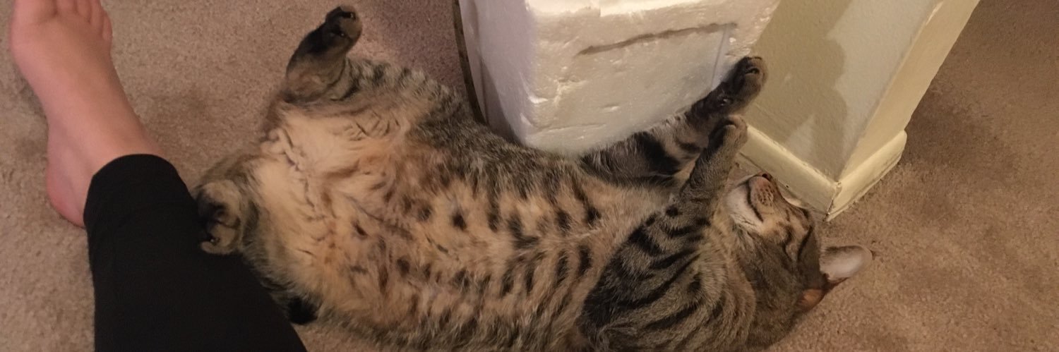Jenni525Burger's profile banner image