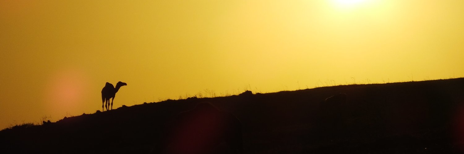 Lawrence_Ball's profile banner image