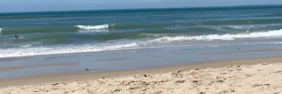 lululagazel's profile banner image