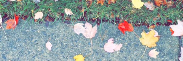 roorah93's profile banner image