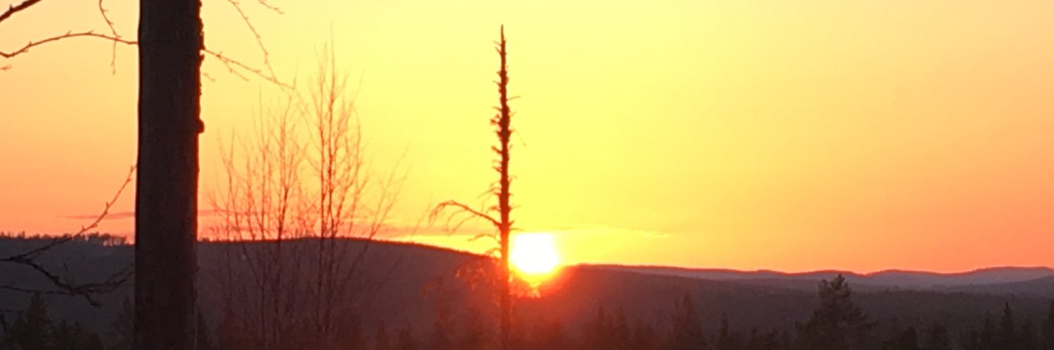 RoggaSve's profile banner image