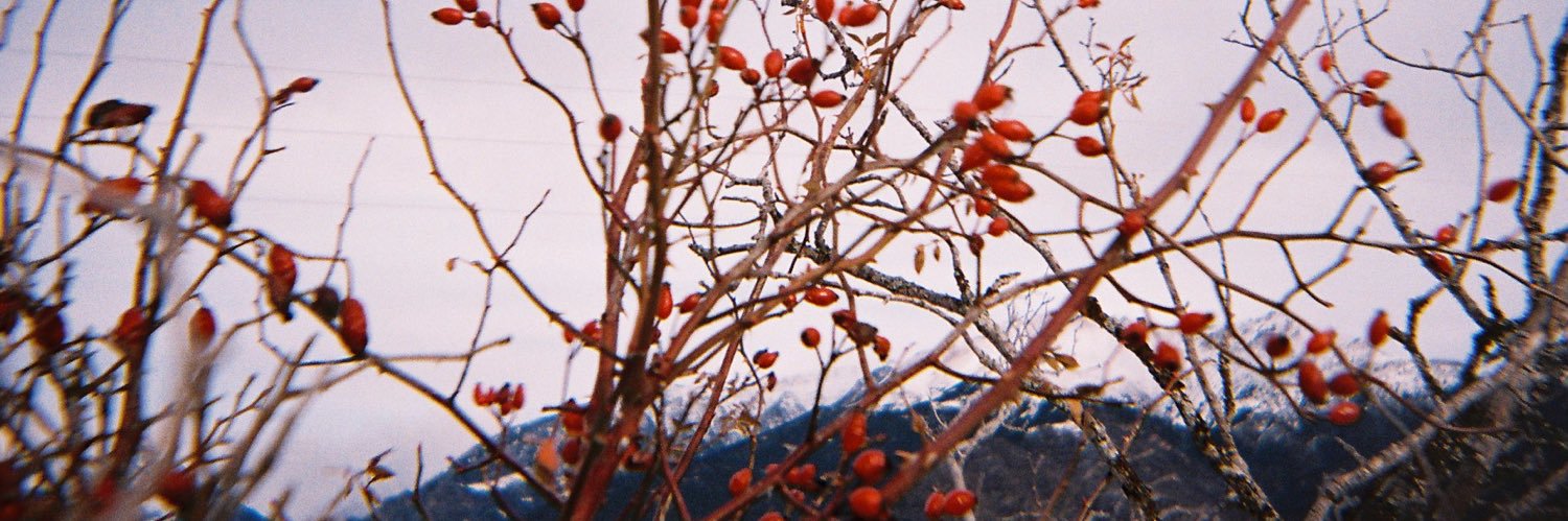 paulamonso's profile banner image