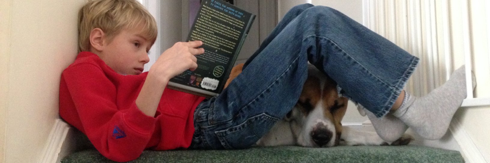 swernerauthor's profile banner image
