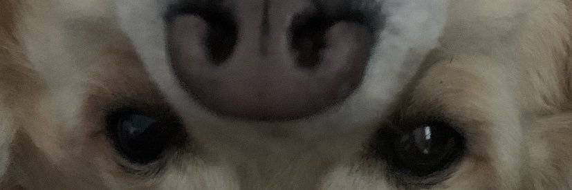 cahtizz's profile banner image