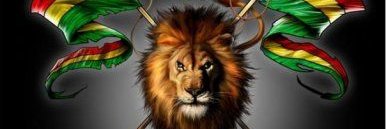 CollinsWachiraM's profile banner image
