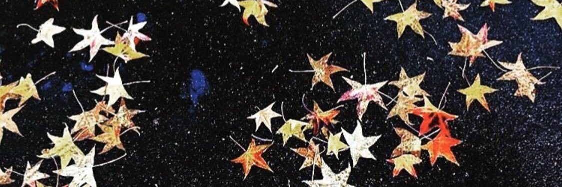 Amie__Farrell's profile banner image