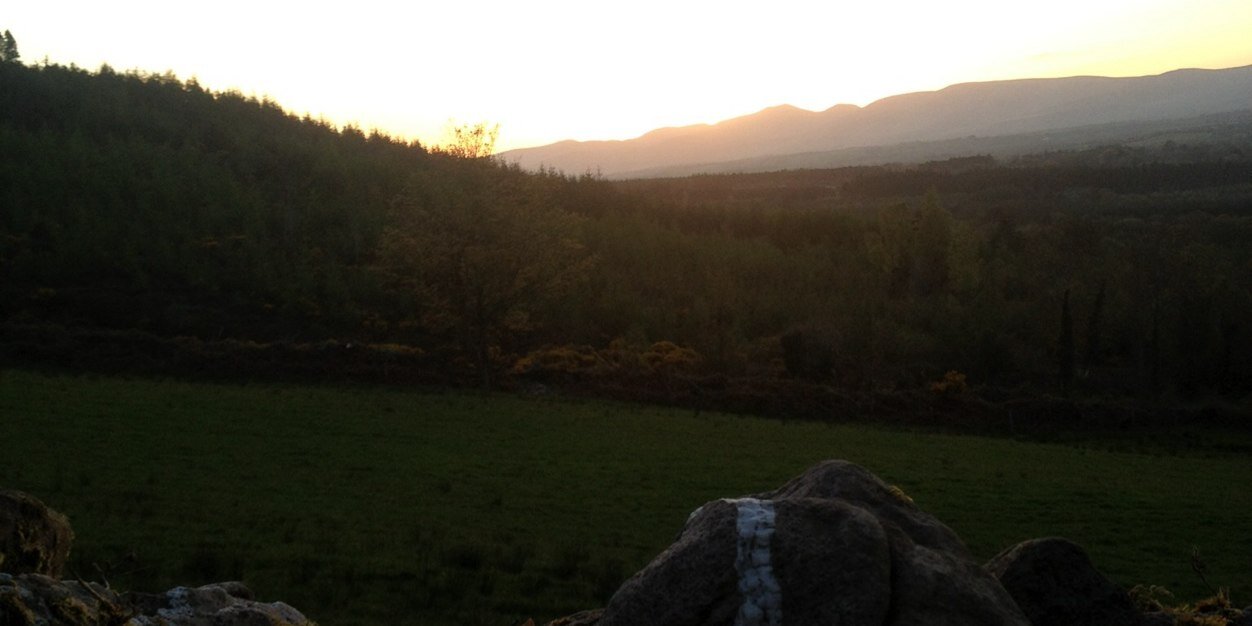 DavidFahey16's profile banner image