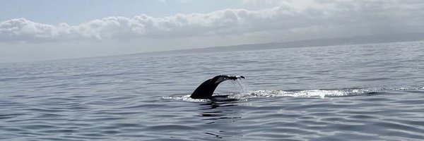 pphillips2020 Profile Banner