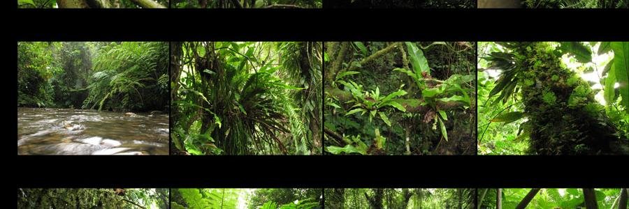 Manish Chandi banner