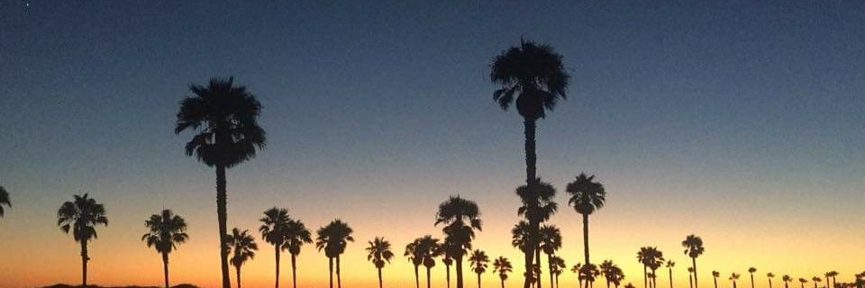 SuspentC's profile banner image