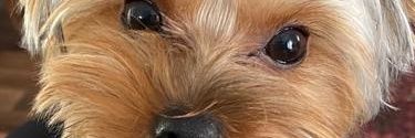 adileyucesan's profile banner image