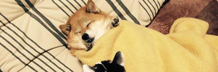 heynikkieee's profile banner image