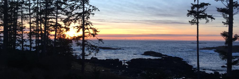 Karen Alvarez banner