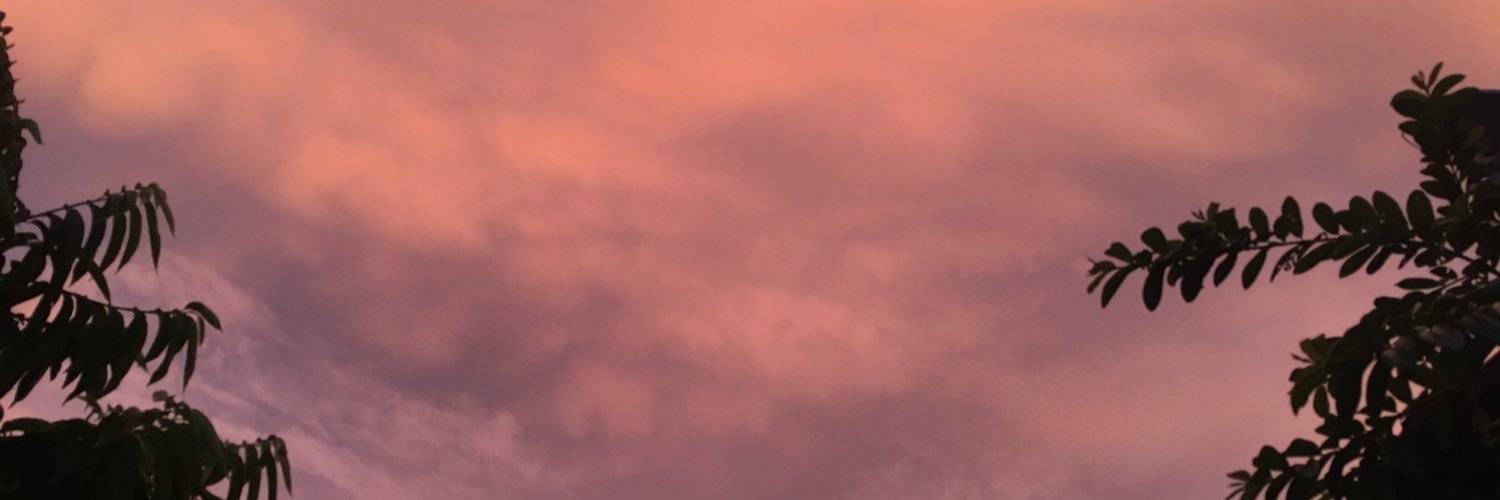Franmerced's profile banner image