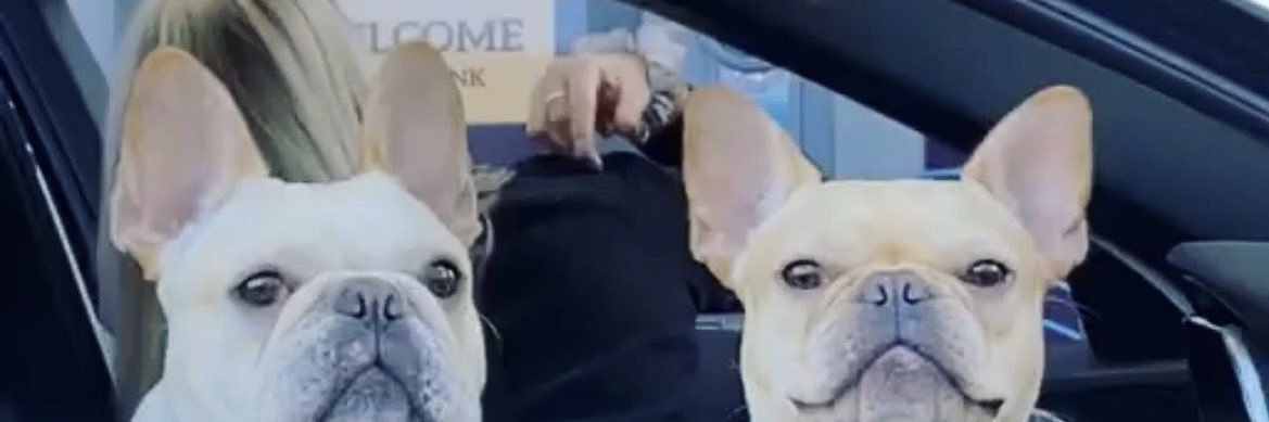 jackkiiiiiee's profile banner image