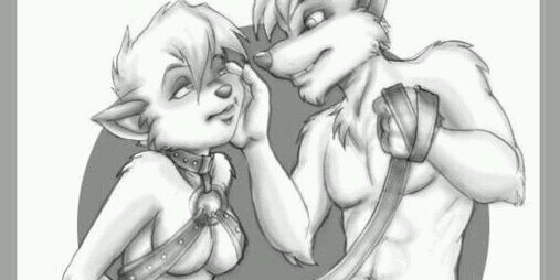 SamKasaiFox's profile banner image