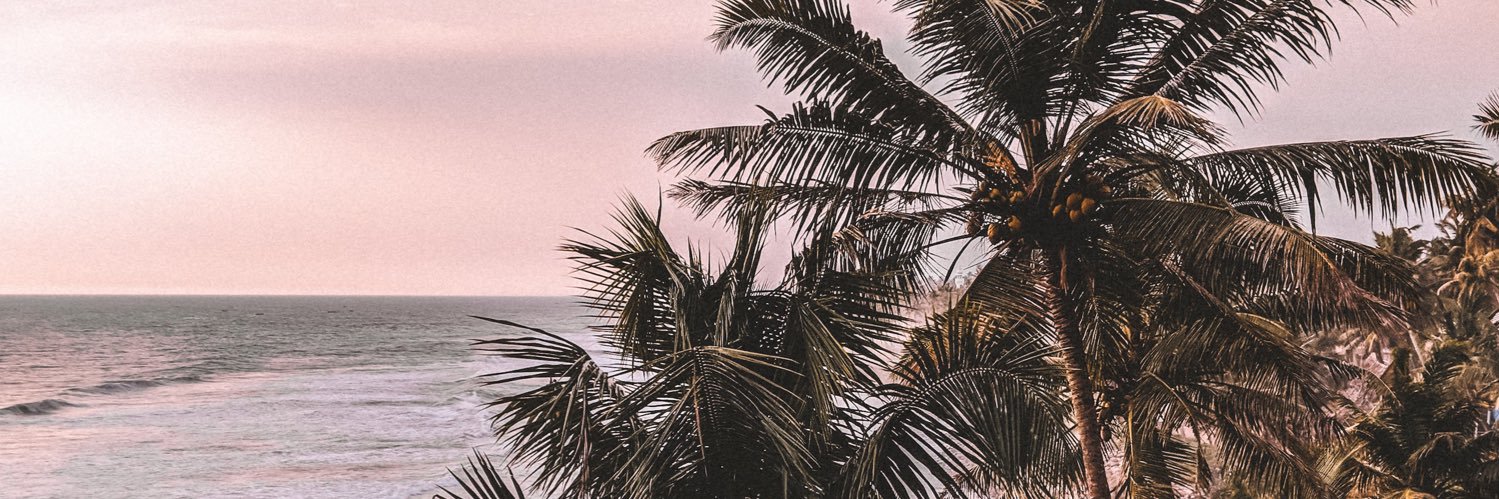 tonchar_'s profile banner image
