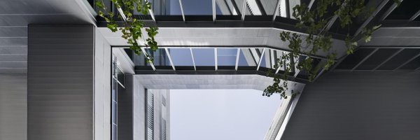 palacios_ant Profile Banner