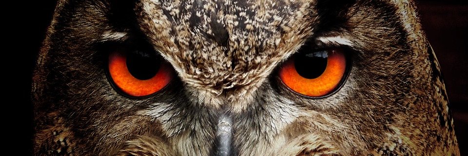 PatryMinguez's profile banner image