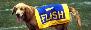 Kentstate1992's profile banner image