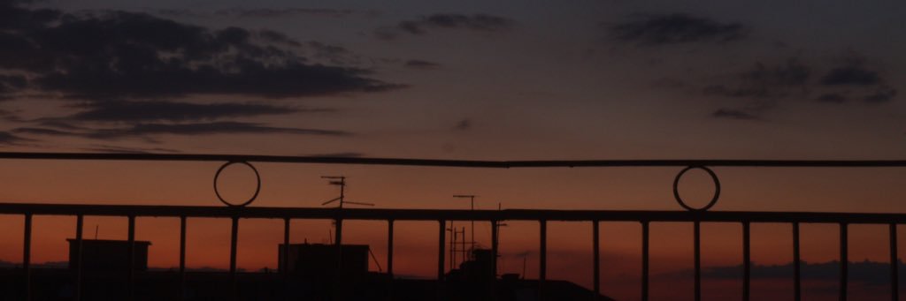 Predrag Zdravkovic banner