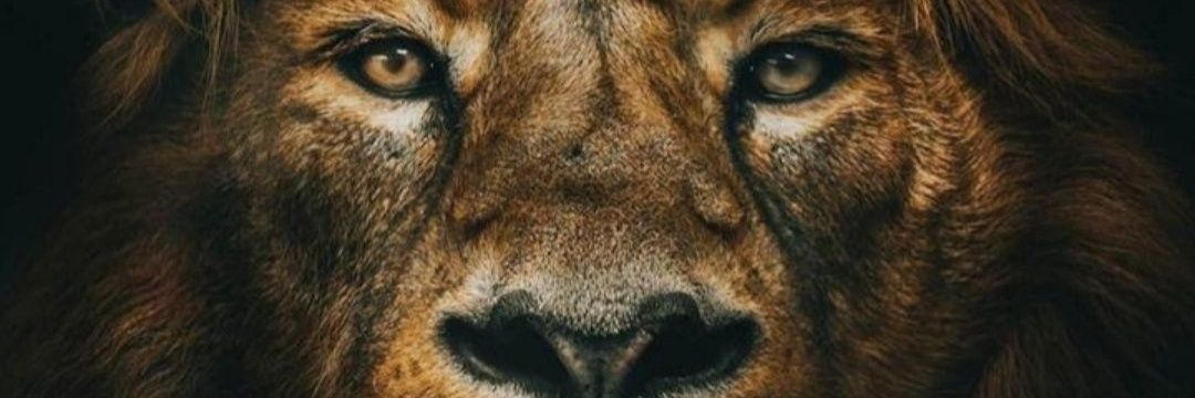 EdgarMDelaRosa's profile banner image