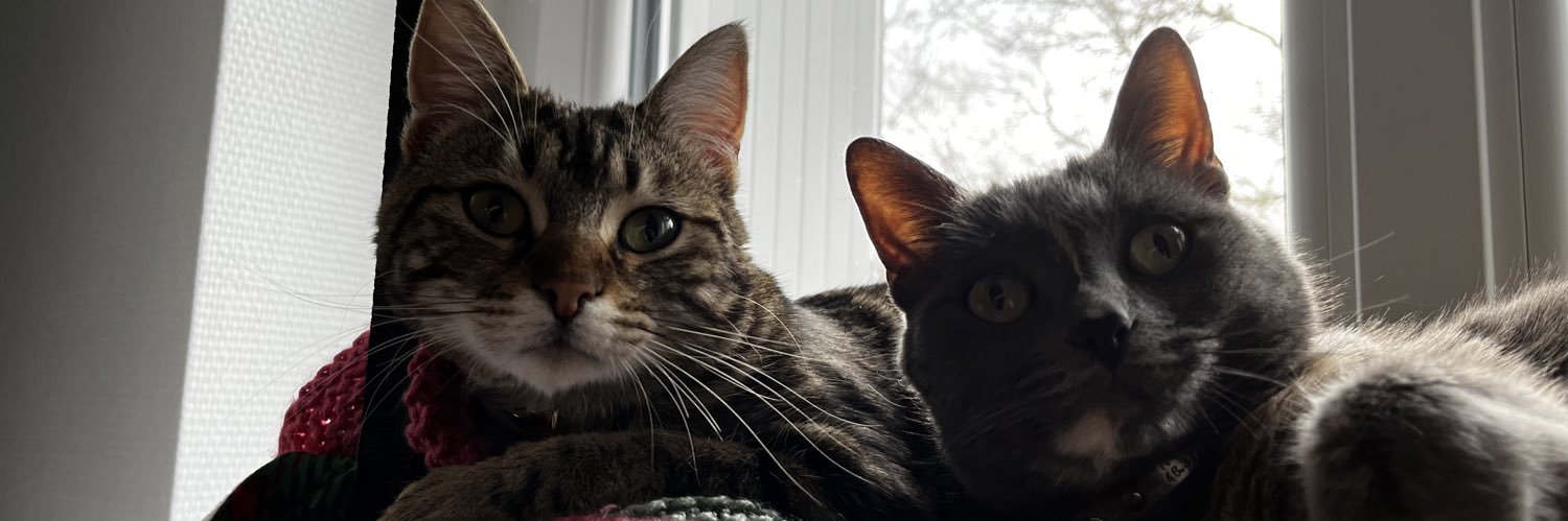 ♬ ĴμҚεβǿж ☉♭ banner