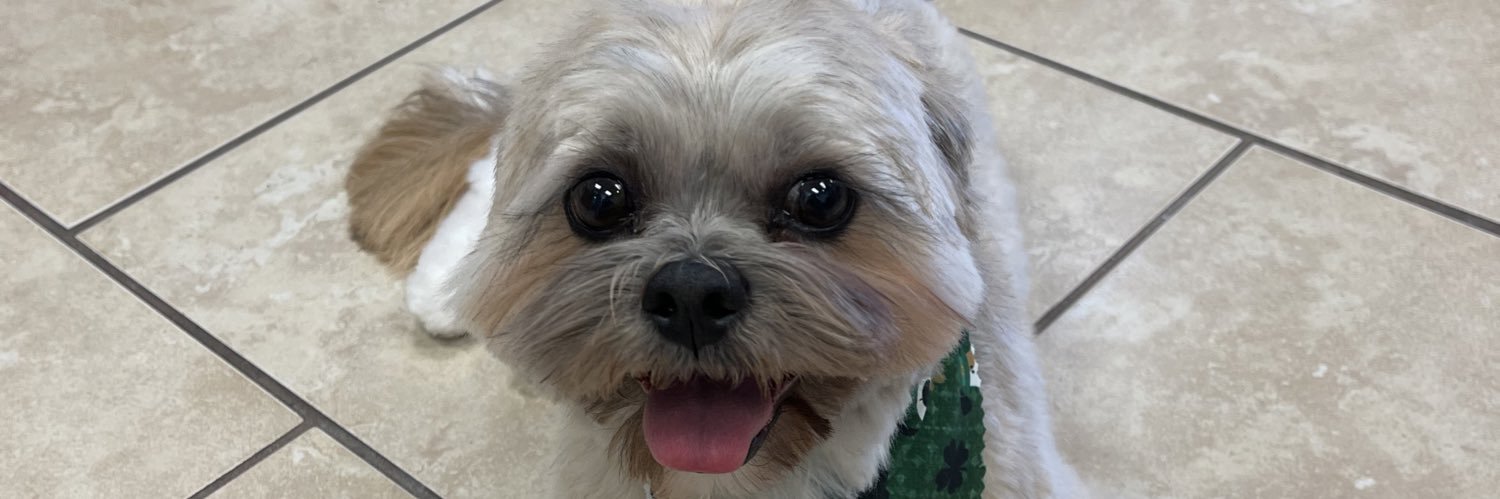 AprilTrann's profile banner image