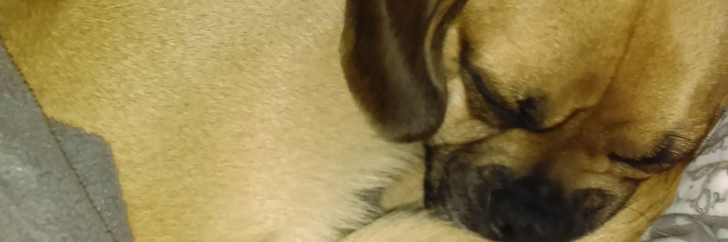 jurkass's profile banner image