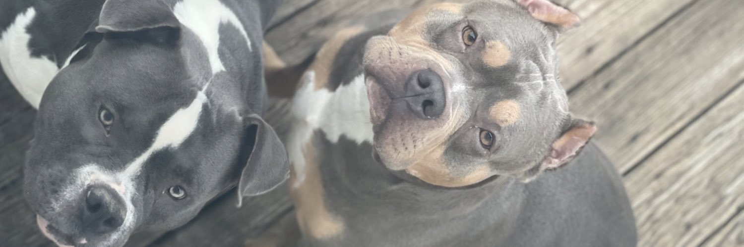 reyes_justice's profile banner image