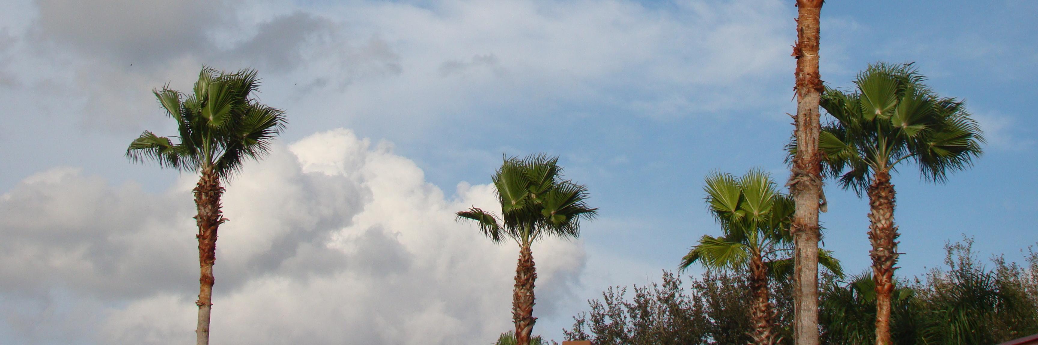 t0ri_'s profile banner image