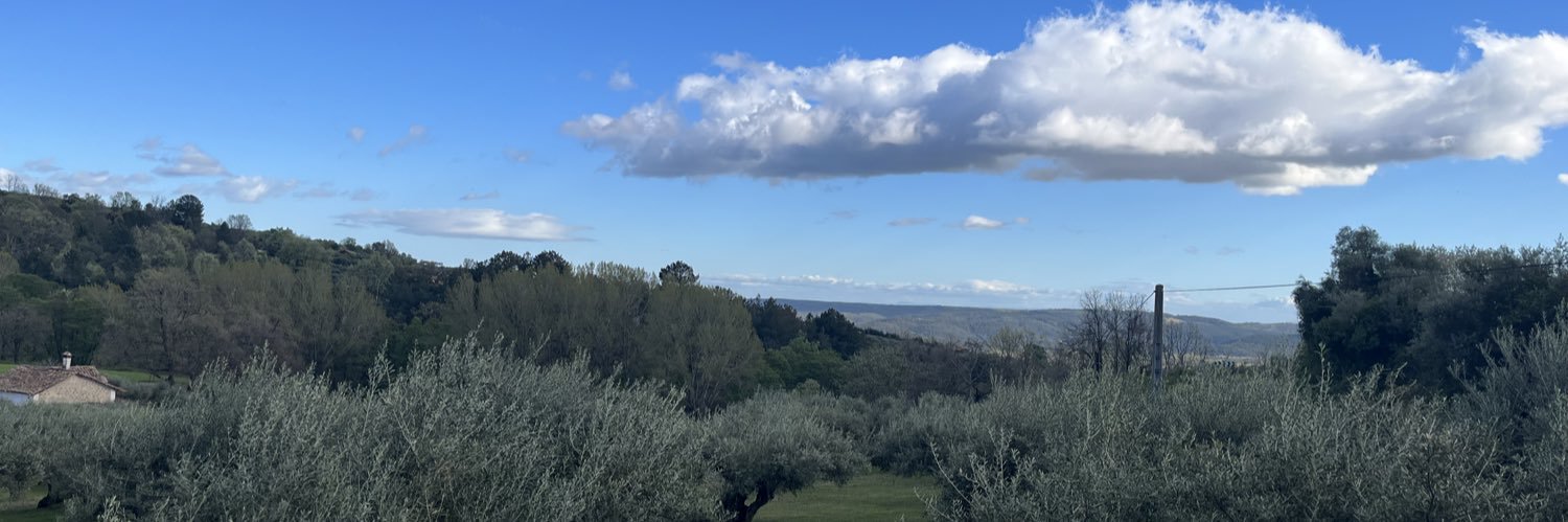 Blanca Arregui banner