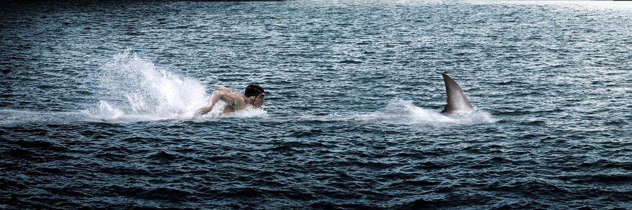 Josefina López Mac Kenzie banner