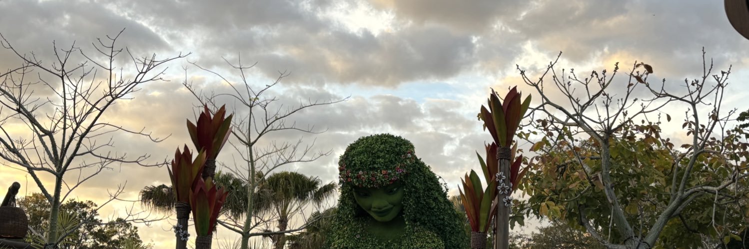 MGarlotte's profile banner image