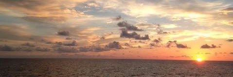 caro96_'s profile banner image