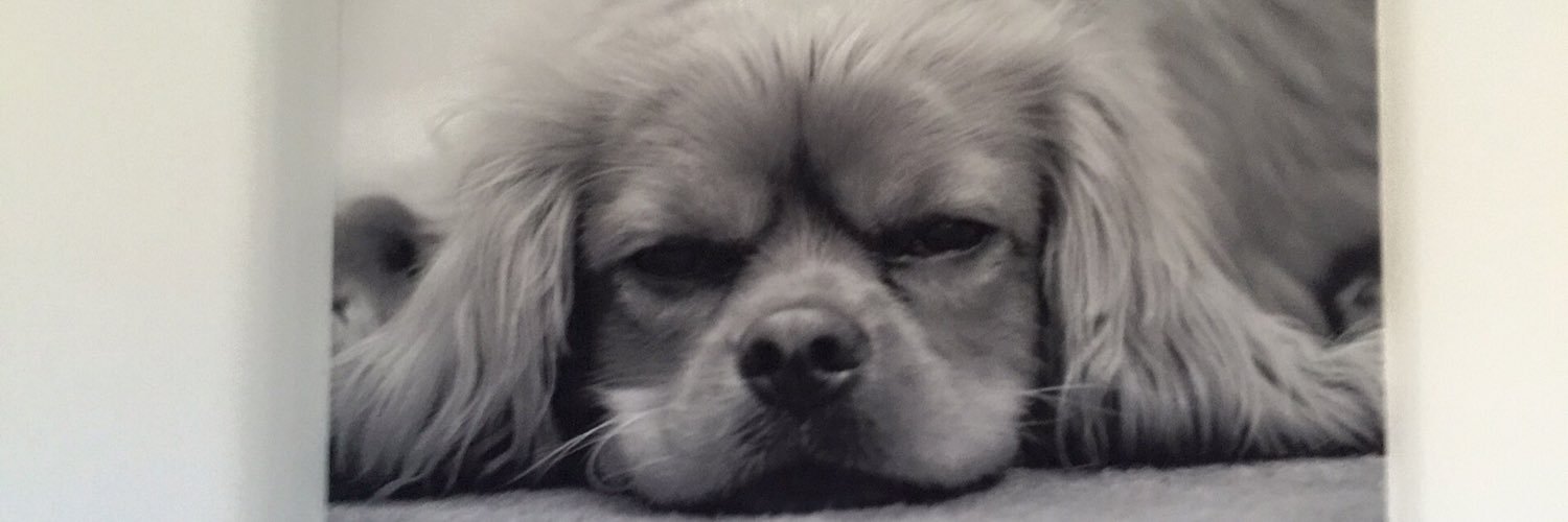 davesteptoe's profile banner image