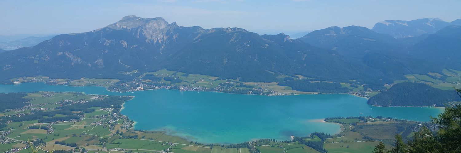 Daniel Leybourne banner