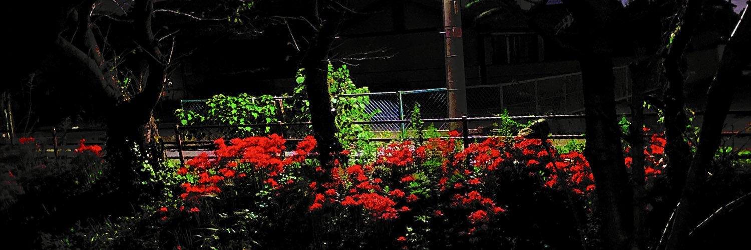 Sam25_801's profile banner image
