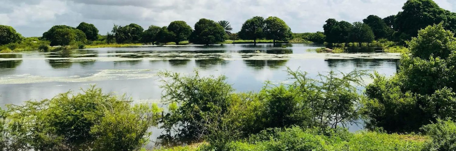 Asad Adaani Ibrahim banner