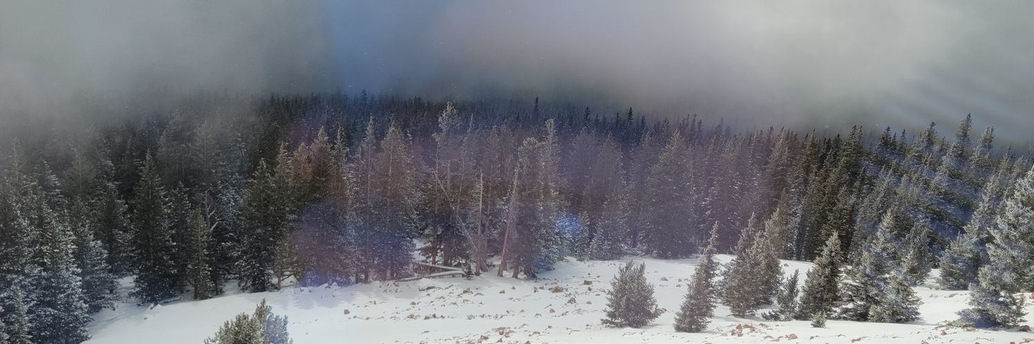LadyKellet's profile banner image