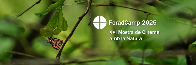 foradcamp's profile banner image