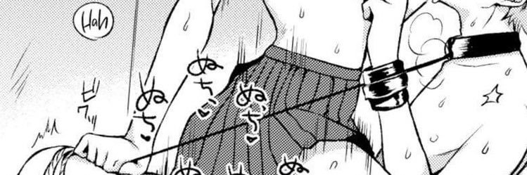 n_bayer's profile banner image