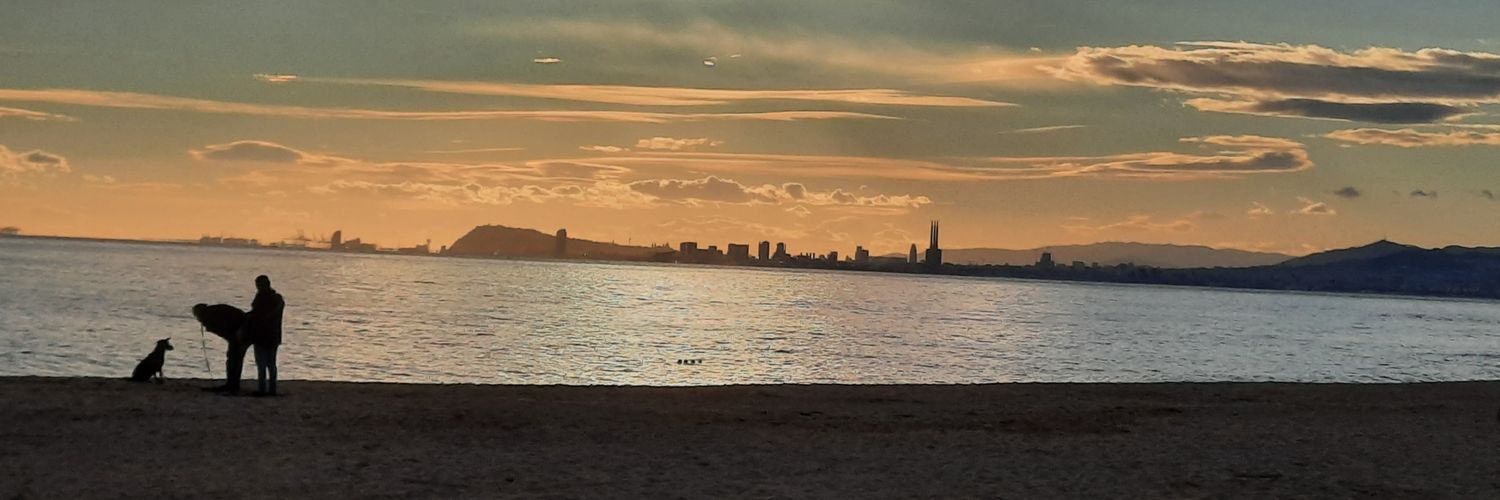 Ricardo Heurtley Paunero banner