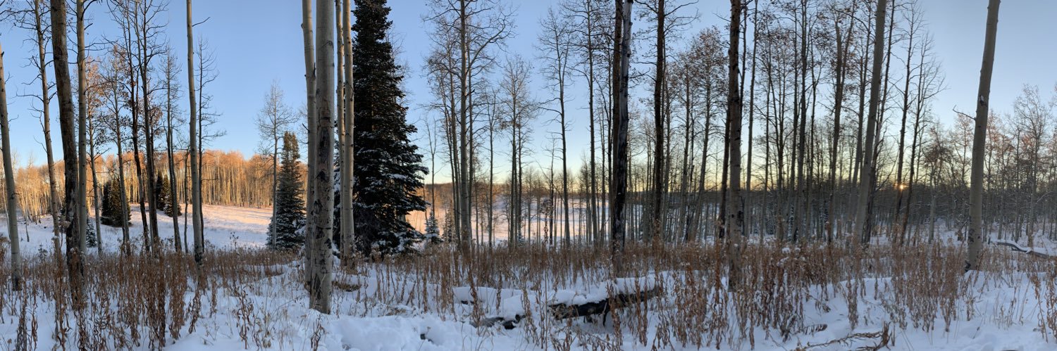 Daniel Plourde banner