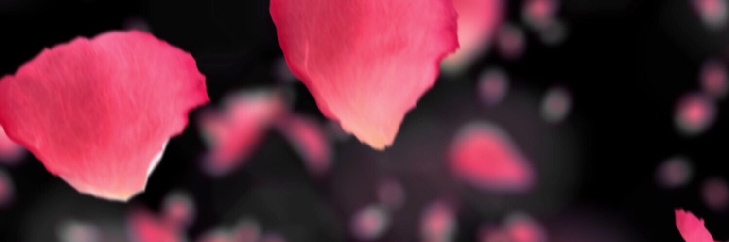 Abigail_Powers's profile banner image